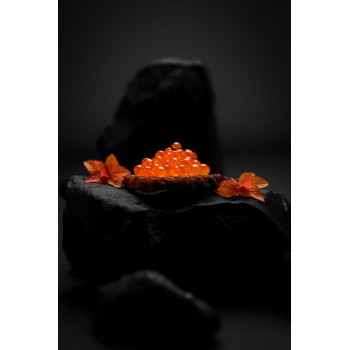 copy of Trout eggs