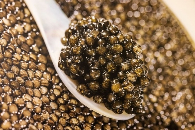 cuillère de caviar