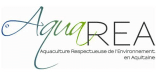aquarea