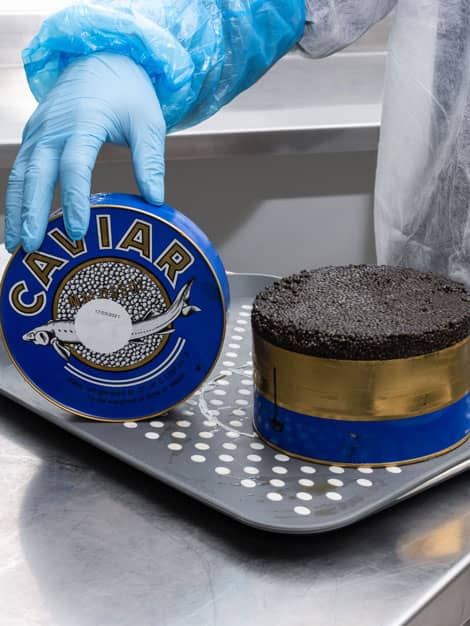 Caviar Perle Noire - Le monde de l'épicerie fine