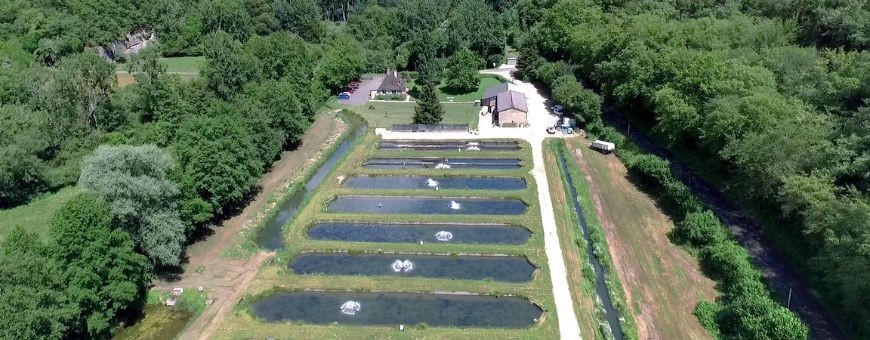 STURGEON FARMING