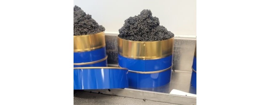 LA FABRICATION DU CAVIAR