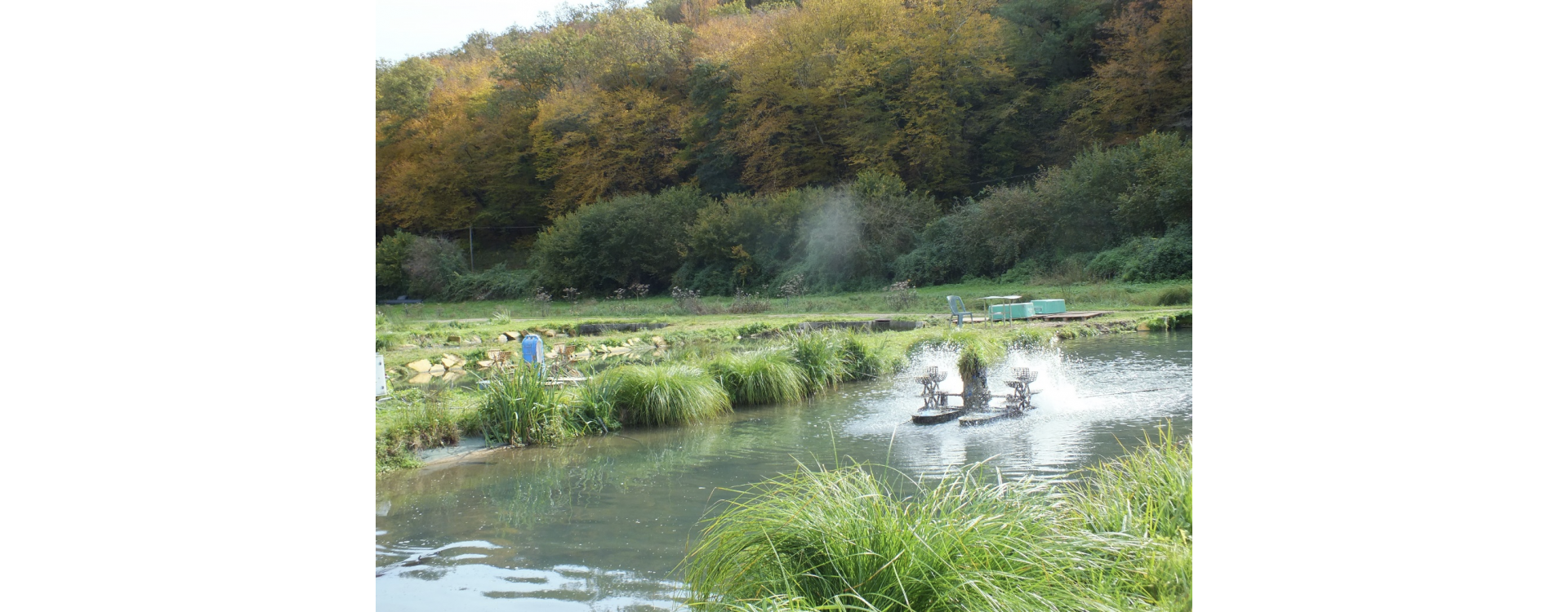 An eco-responsible production in a healthy nature An eco-responsible production in a healthy nature