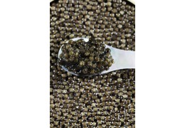 Caviar Perle Noire, a range for all palates