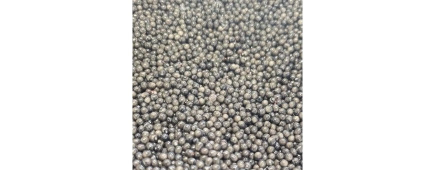 LA FABRICATION DU CAVIAR