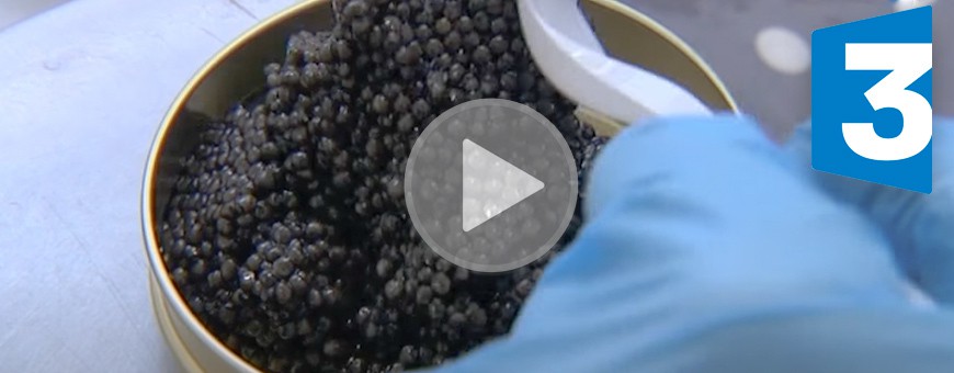 CAVIAR PERLE NOIRE - FDF PARIS MAGAZINE