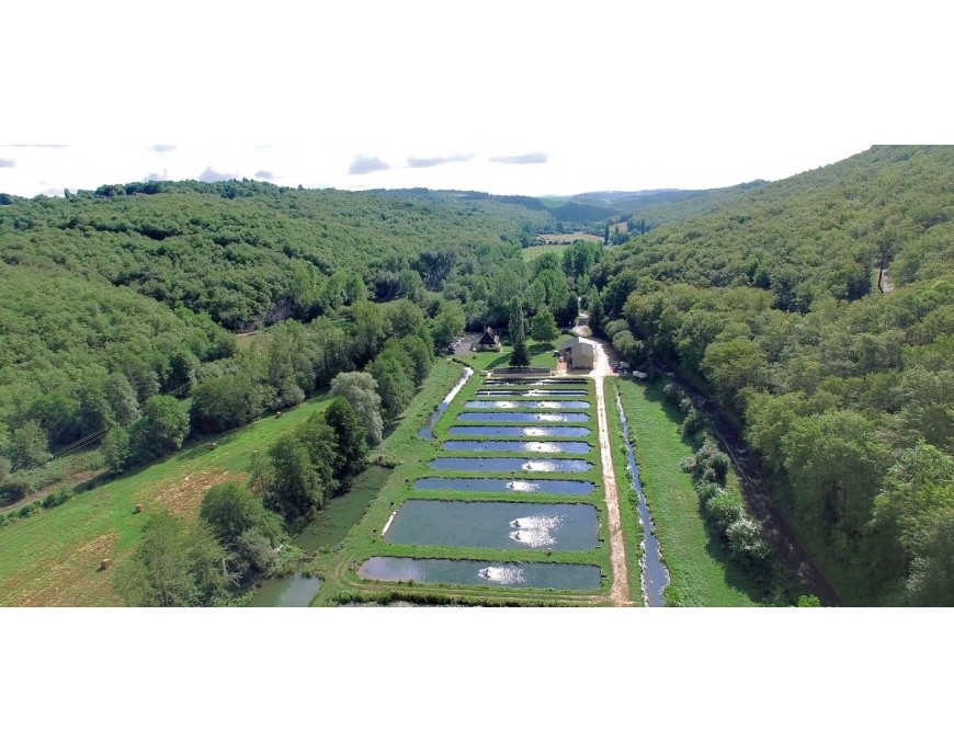 Production éco-responsable : comment Caviar Perle Noire allie nature, exigence et savoir-faire ?