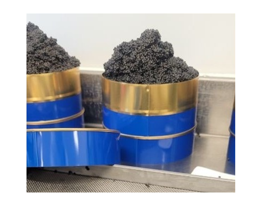 La fabrication du Caviar