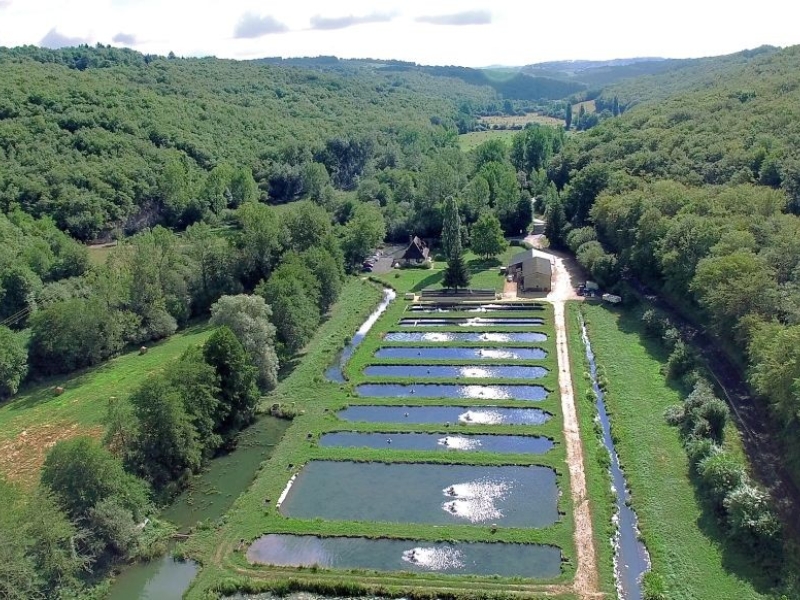 Production éco-responsable : comment Caviar Perle Noire allie nature, exigence e