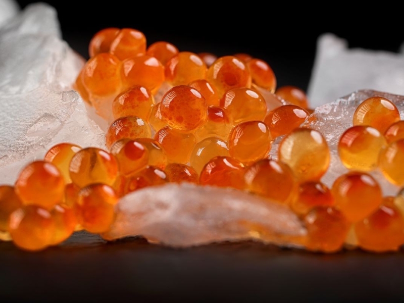 Œufs de truite : la perle orange gourmande à découvrir